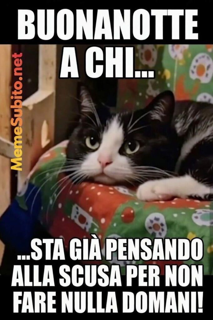 Buonanotte a chi 2