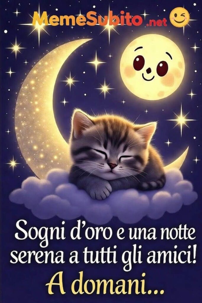 buonanotte con gattini