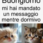 Buongiorno con gattino #7 – Gattino mattutino italiano
