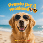 Meme Cani divertenti – Weekend da cane