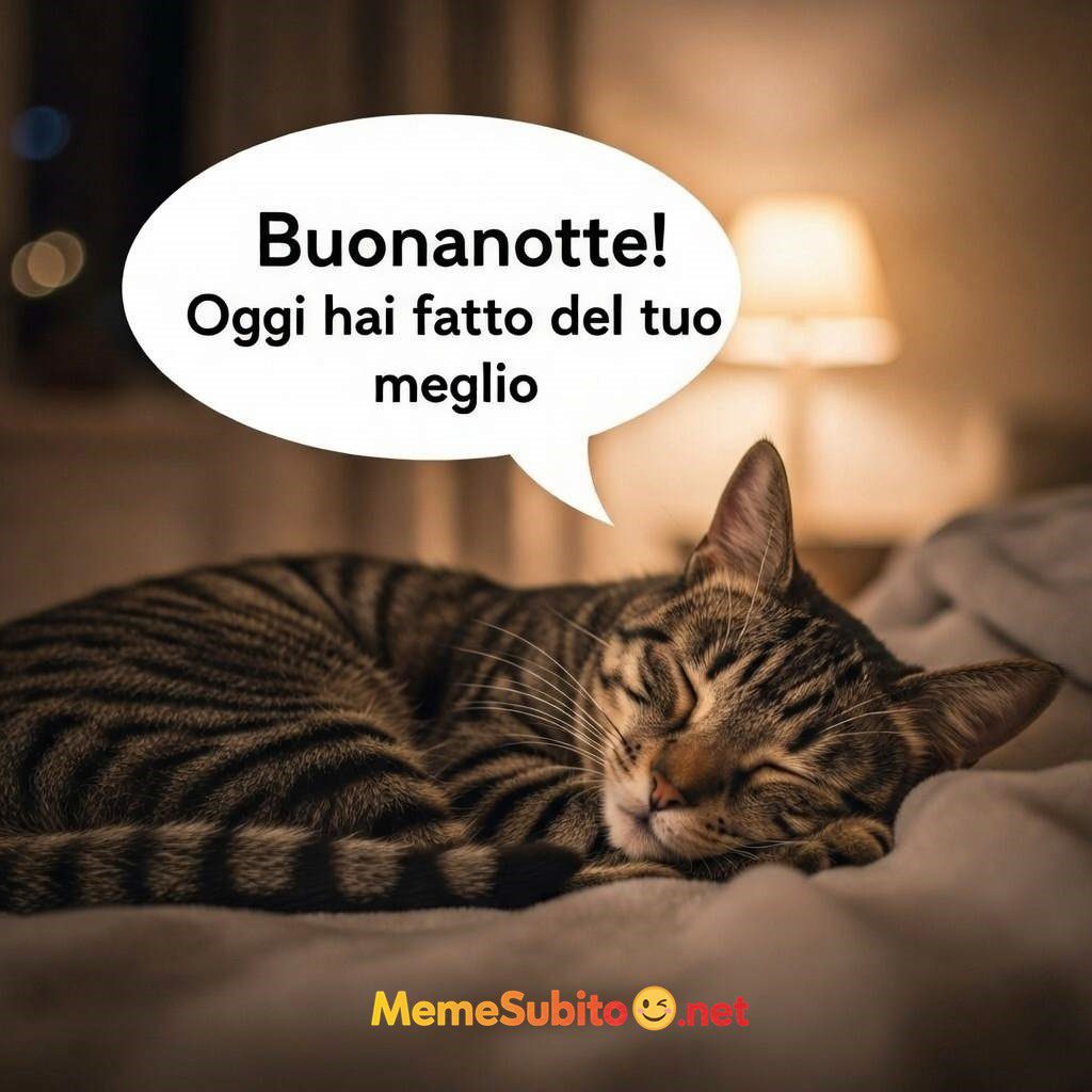 hai fatto del tuo meglio