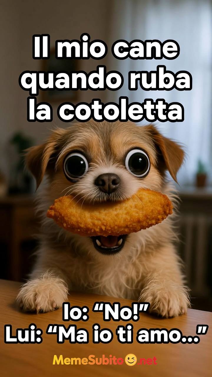 Meme cani italiani #1 – Il miglior meme cane italiano