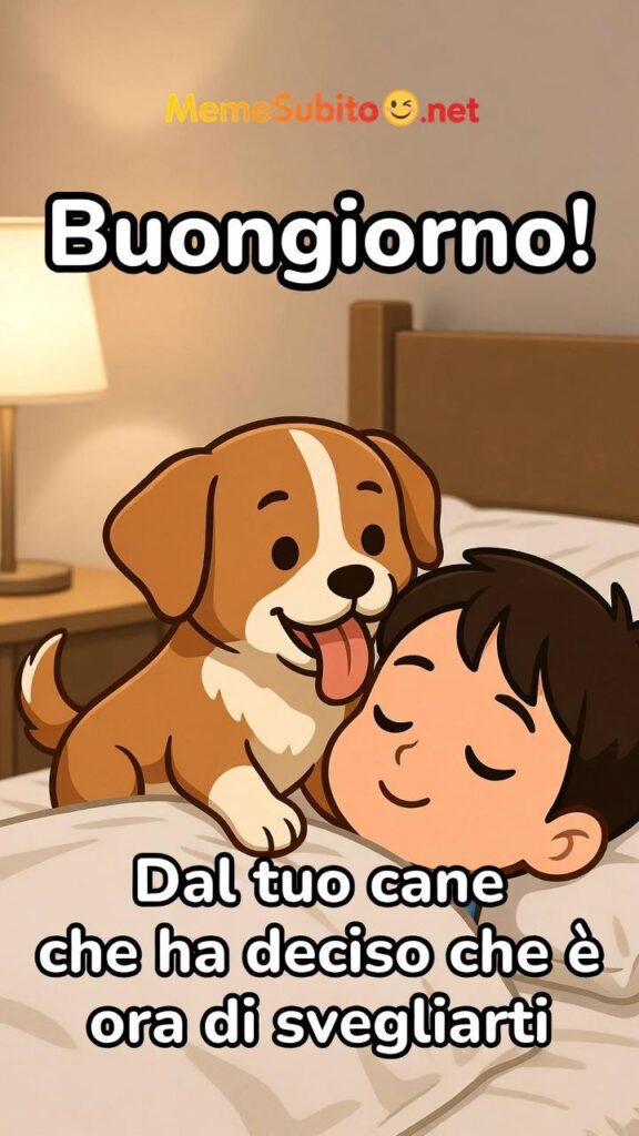Il cane e il padrone – Meme cani divertenti [Cani]