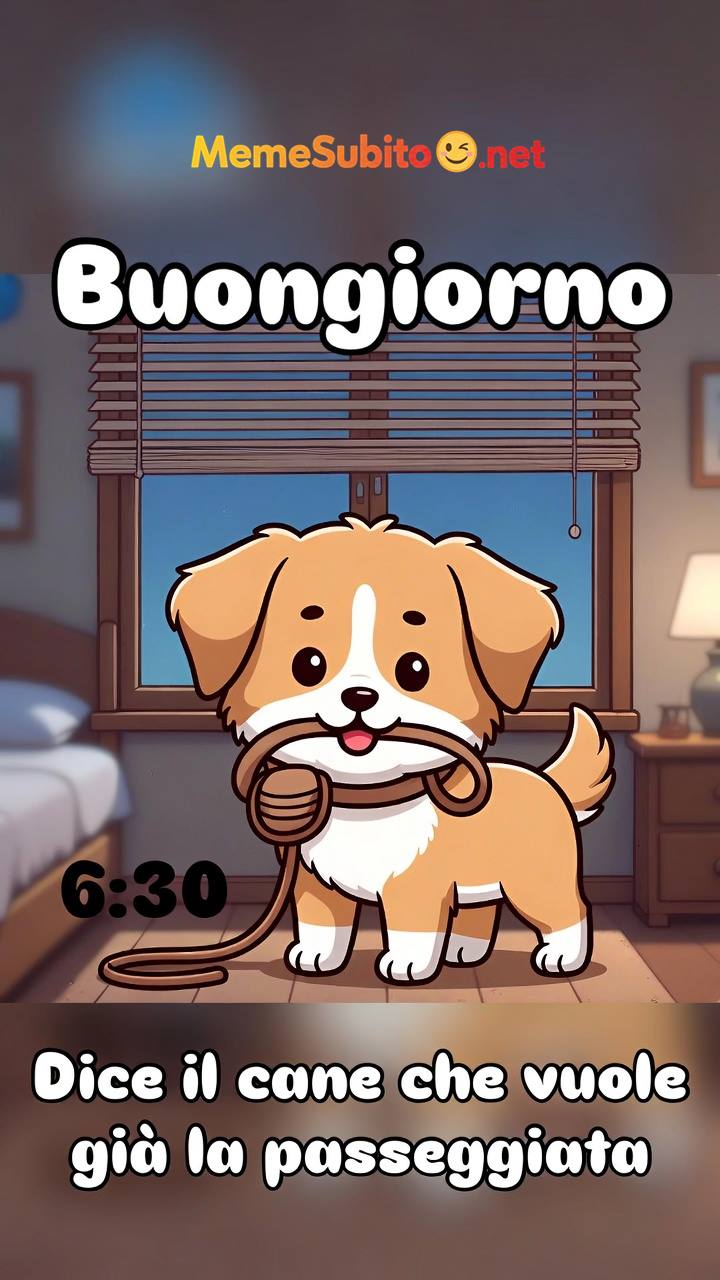 Meme cani italiani #11 – Cane troppo intelligente