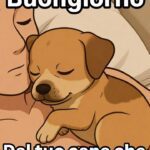 Meme cani divertenti italiani #12 – Cane buffo italiano