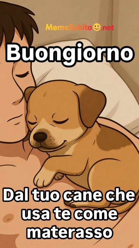 Cane buffo – Meme cani divertenti [Cani]