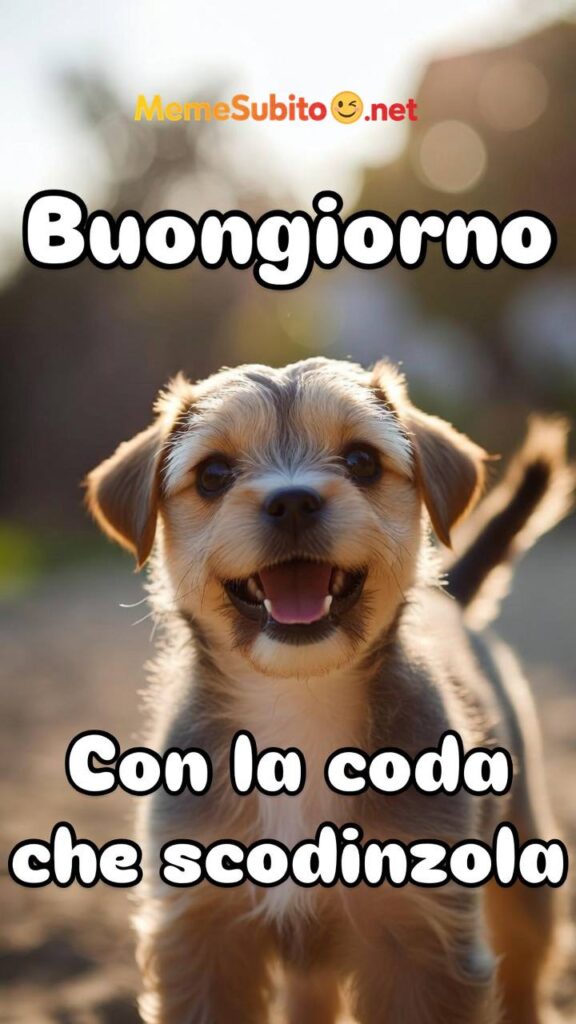 Cane guarda la TV – Meme cani divertenti [Cani]