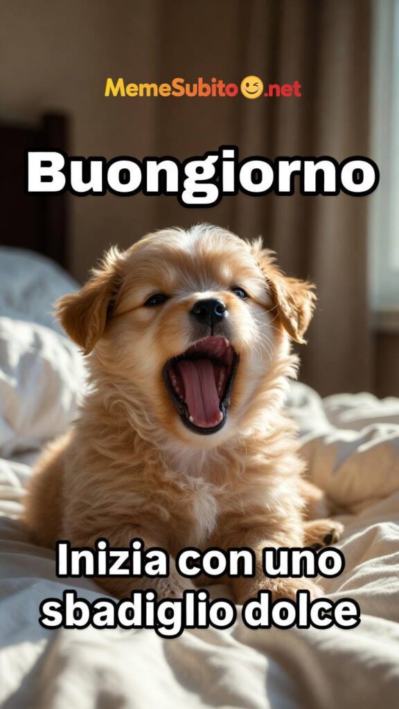 Meme cani divertenti #16 – Cane italiano e le crocchette