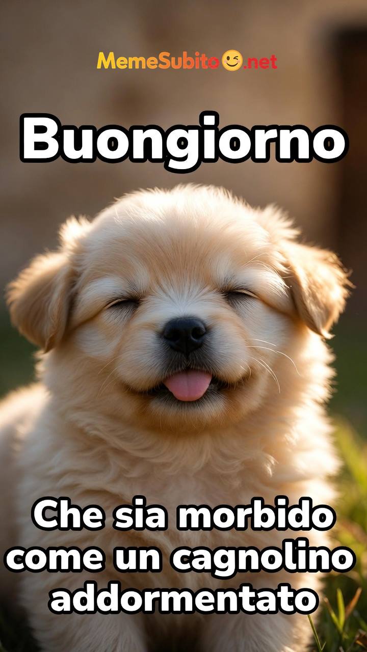 Meme cani italiani #20 – Cane e gatto italiani insieme