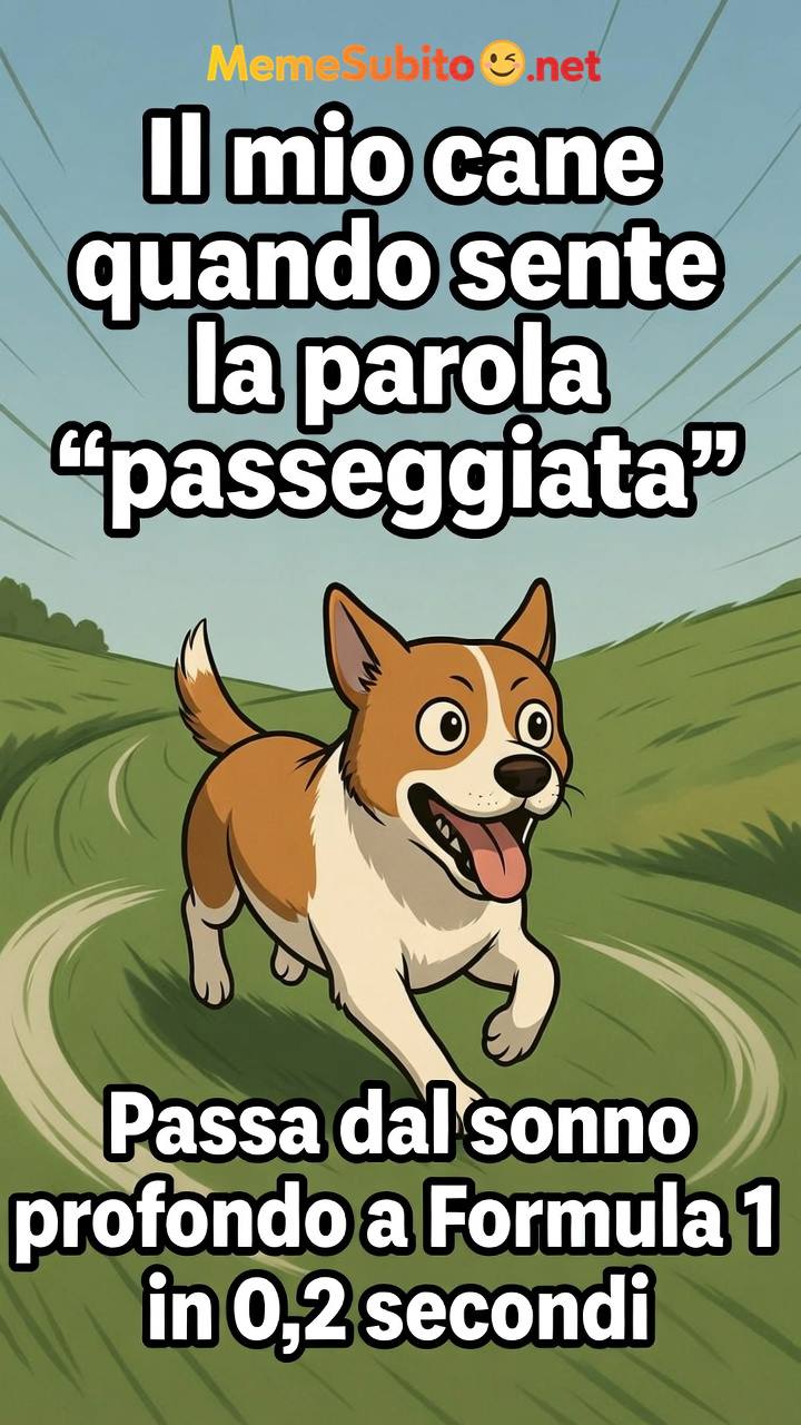 Meme cani italiani #2 – Cane italiano in casa