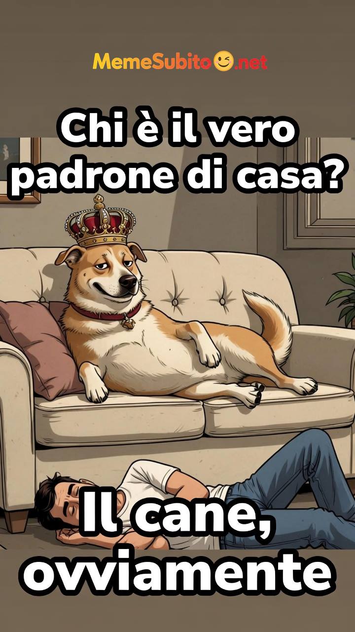 Meme cani divertenti #3 – Cane italiano e la dieta