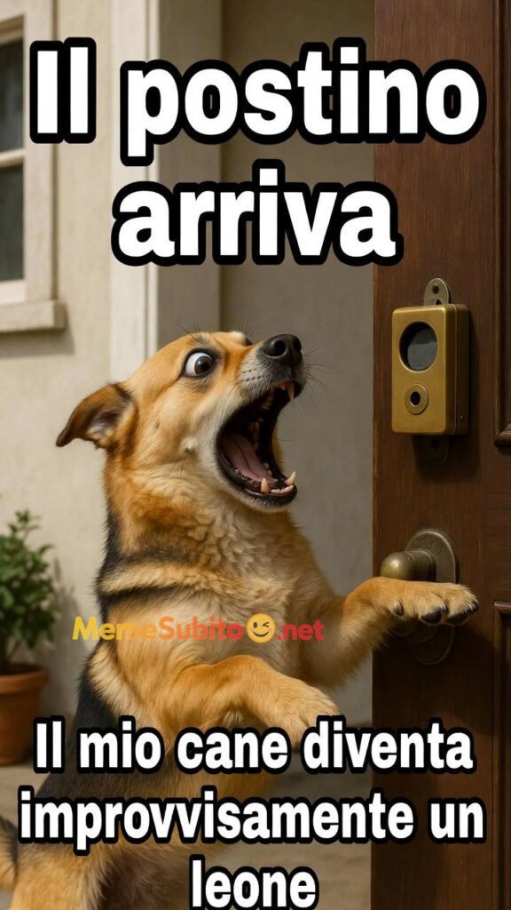 Cane in posa comica – Meme cani divertenti [Cani]