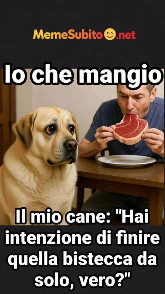 Il cane fedelissimo – Meme cani [Cani]