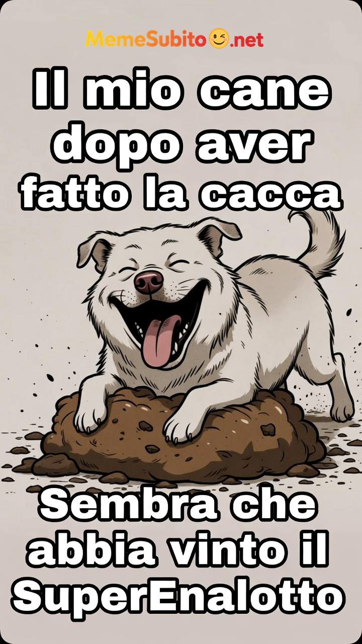 Meme cani divertenti #7 – Cane italiano filosofo