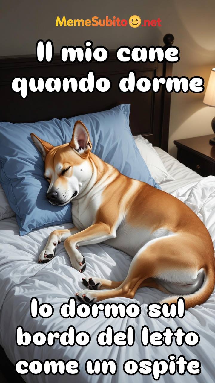 Meme cani italiani #6 – Weekend da cane italiano