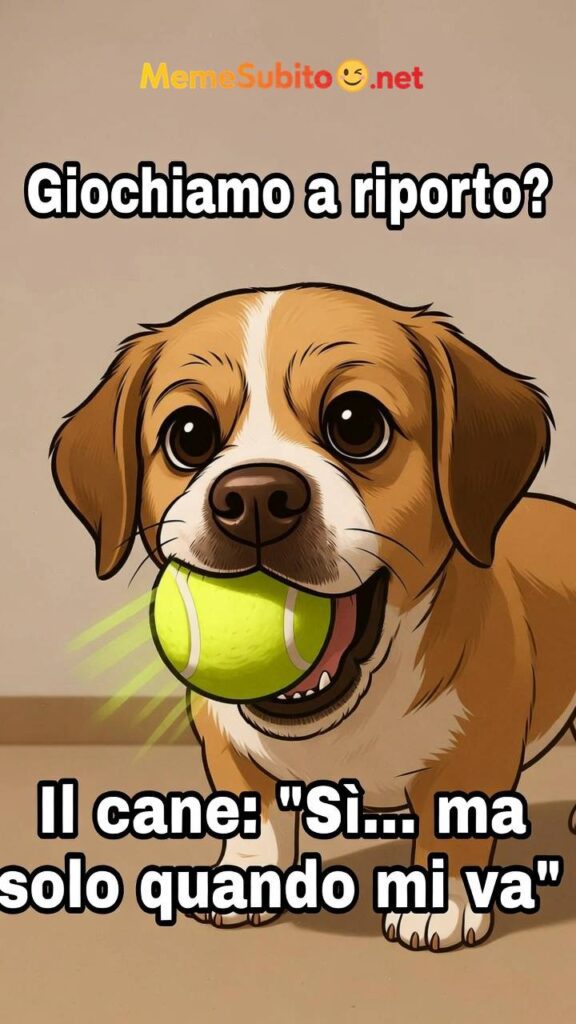 Meme cani divertentissimi #8 – Cane italiano comicissimo