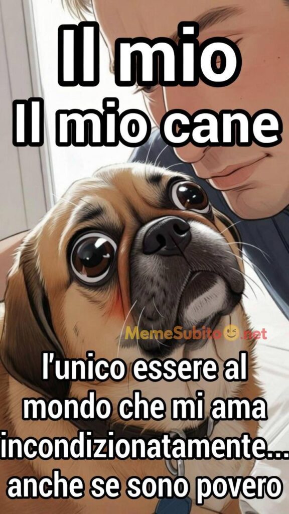 Meme cani italiani #9 – Cane in situazione imbarazzante