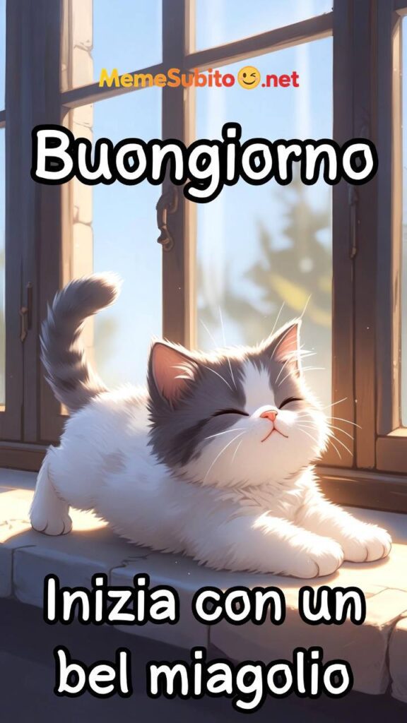 Gatto in cucina – Meme gatti divertenti [Gatti]