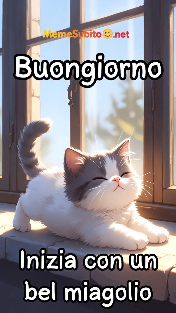 Meme gatti divertenti #12 – Gatto italiano in cucina