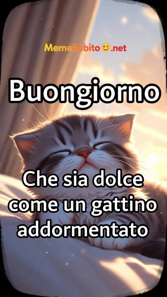 Gatto sempre elegante – Meme gatti [Gatti]