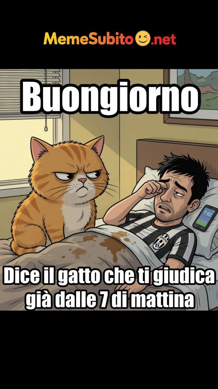 Meme gatti italiani #2 – Gatto italiano in posa