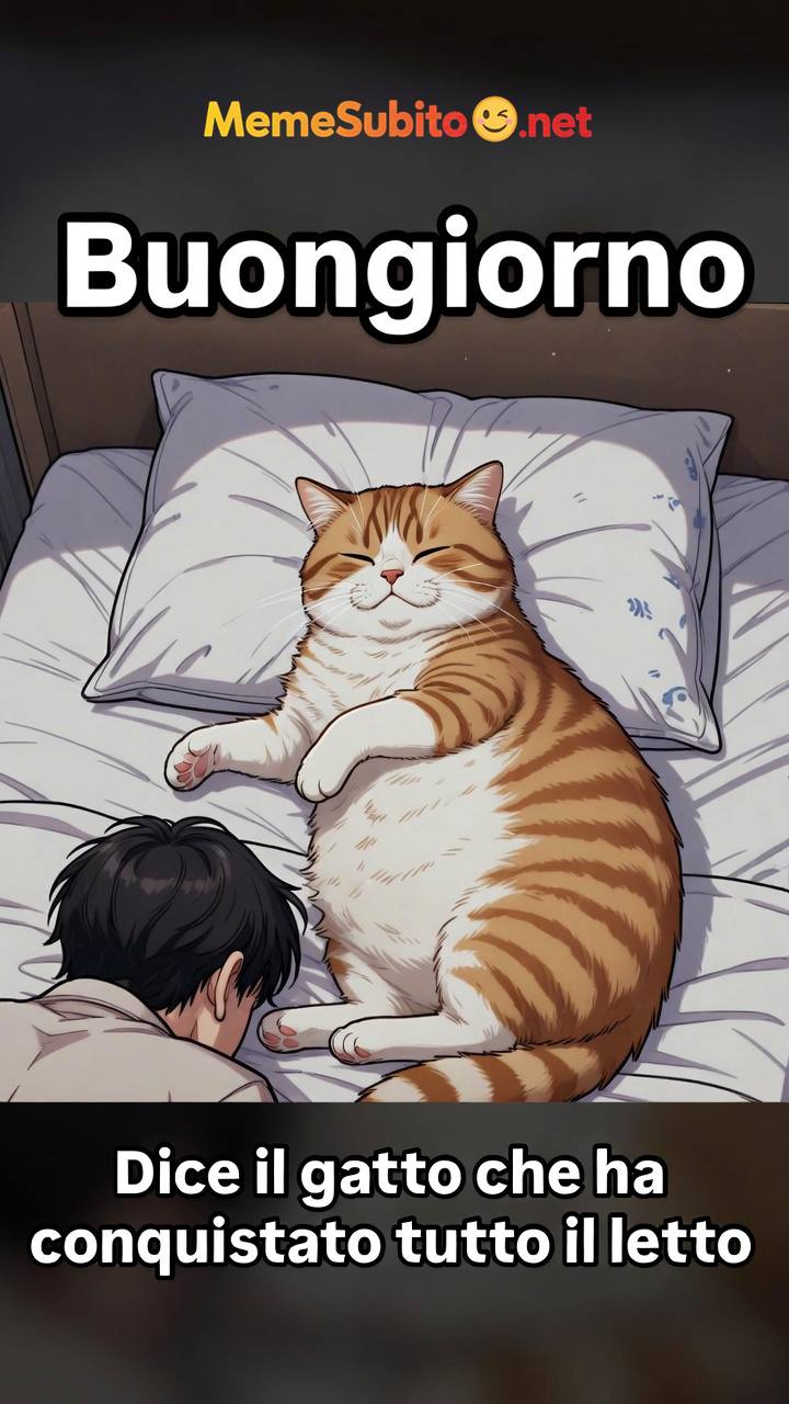 Meme gatti italiani #6 – Gatto italiano e i giochi