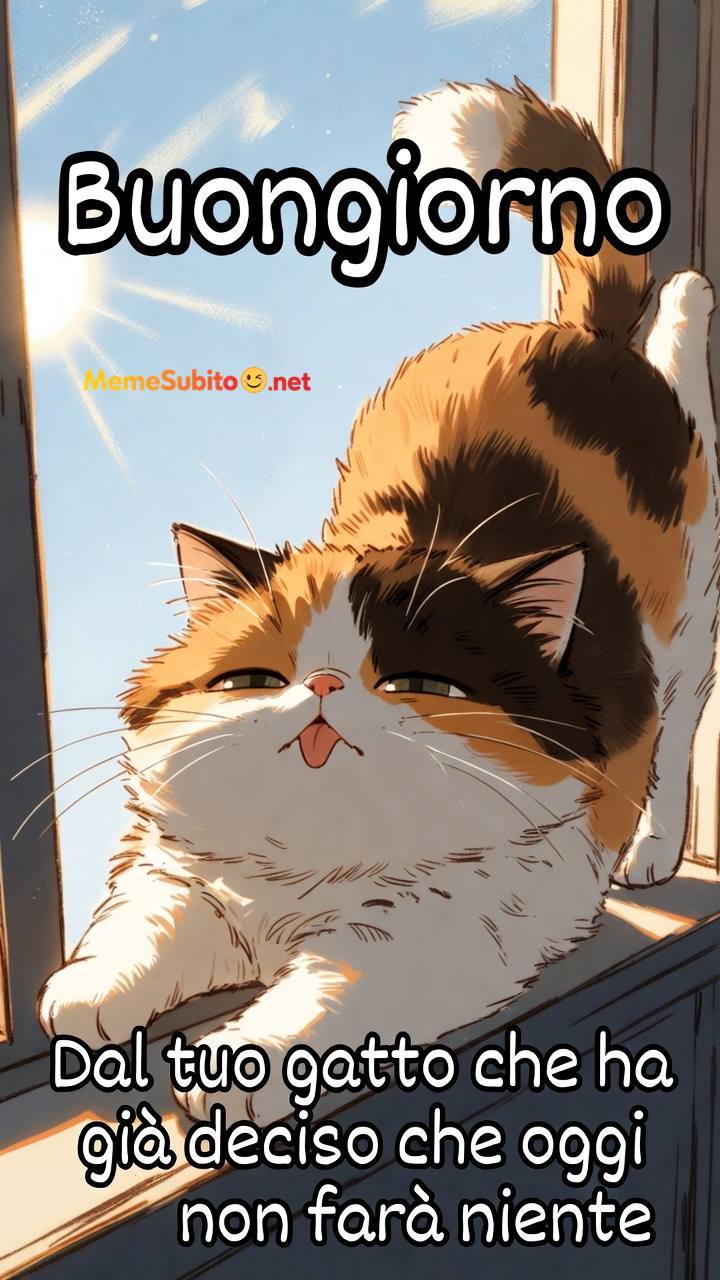 Meme gatti divertenti #7 – Gatto italiano mattutino