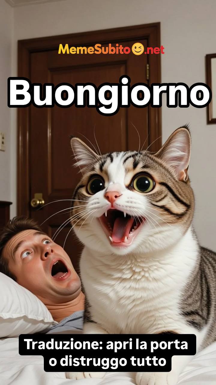 Meme gatti italiani #8 – Gatto italiano e la finestra