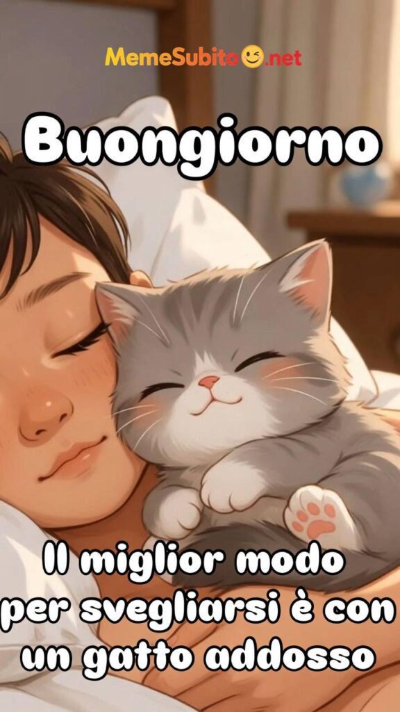 Gatto guardingo – Meme gatti divertentissimi [Gatti]