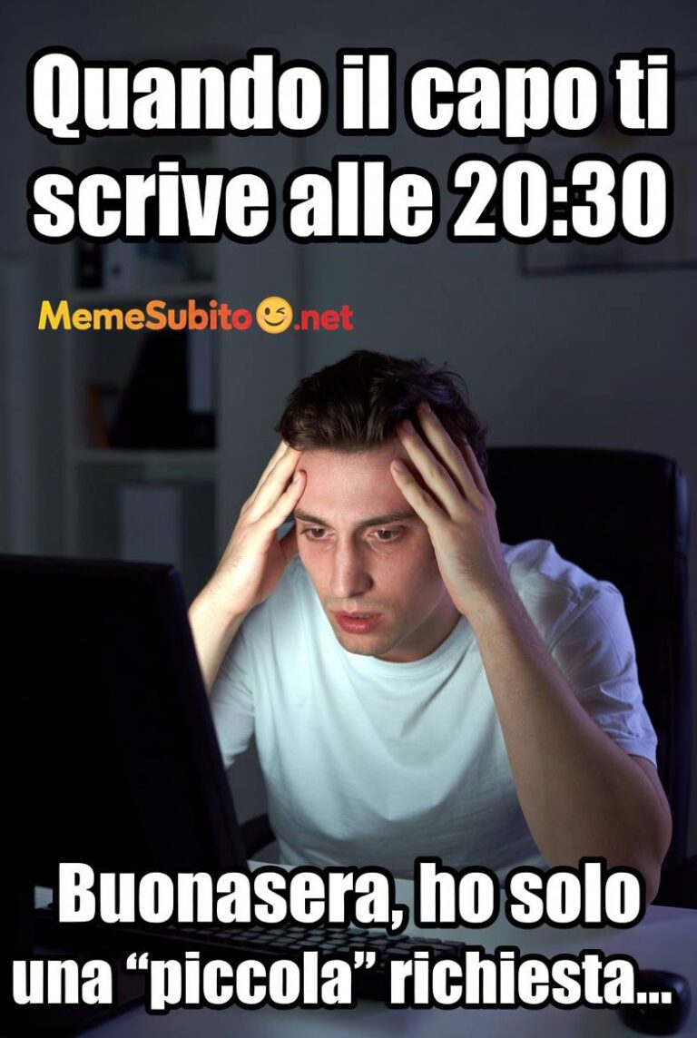 Meme ufficio divertente #7 – Il lavoro da casa italiano