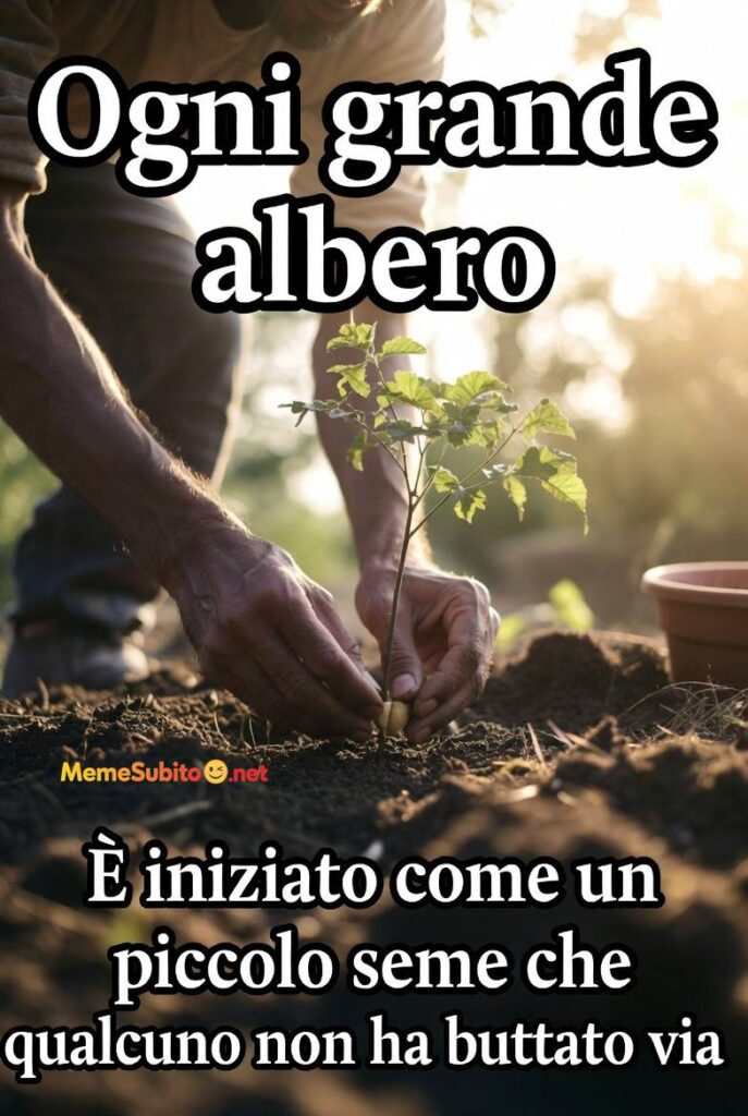 Motivazionale italiano #11 – Non arrenderti mai