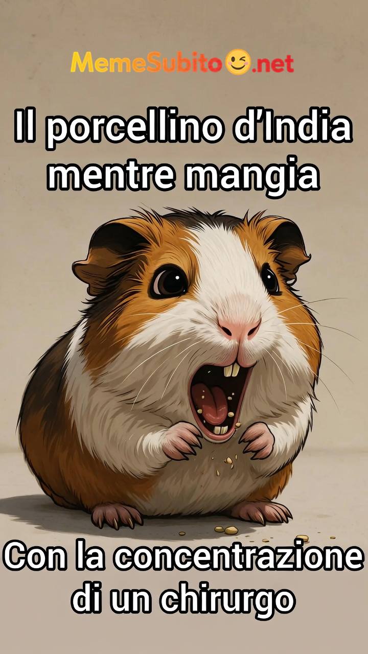 Meme animali buffi #1 – Il migliore meme animali italiani