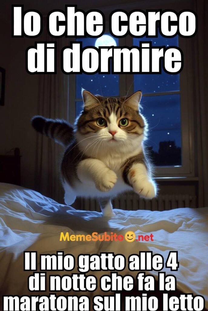 Meme animali irresistibili #13 – Foto buffa animali da ridere