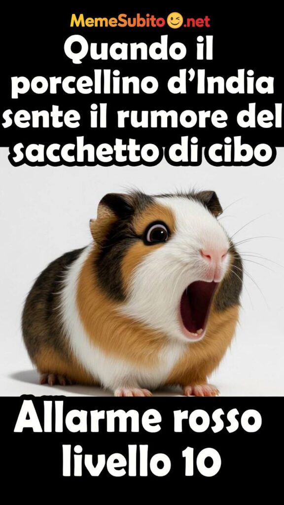Meme animali italiani #17 – Animali domestici in situazioni buffe