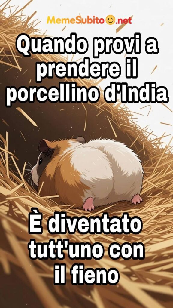 Meme animali buffi #18 – Foto animali divertenti italiani