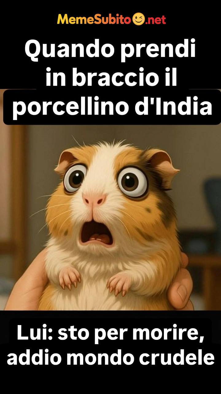 Meme animali spassosi #21 – Animali italiani in pose comiche