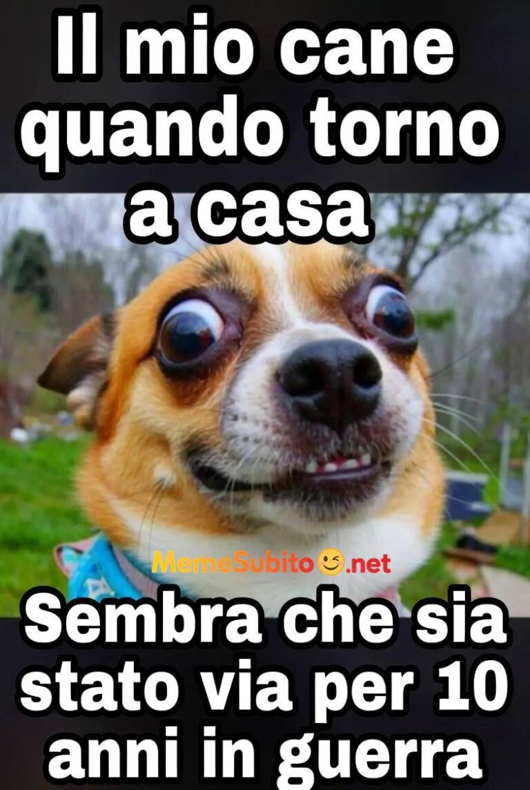 Meme animali virali #5 – Animali italiani troppo divertenti