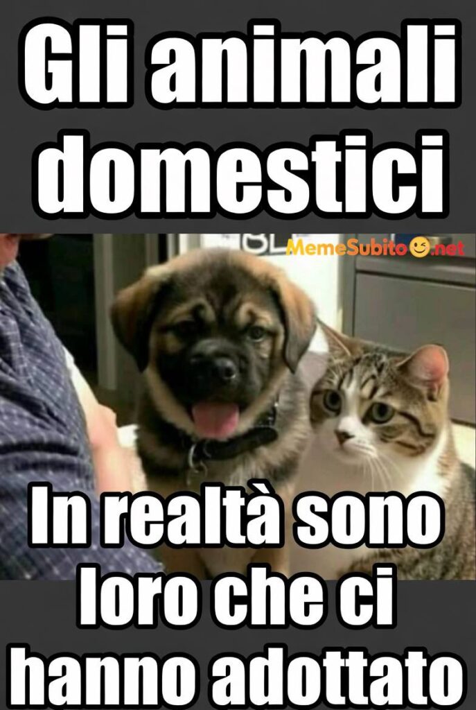 Immagini comiche animali – Meme animali da ridere [Animali]