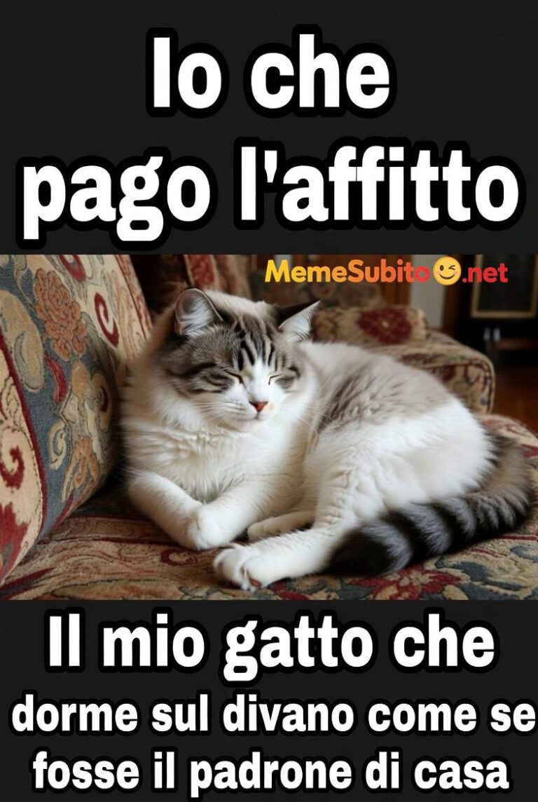 Meme animali divertentissimi #7 – Foto animali buffi italiani