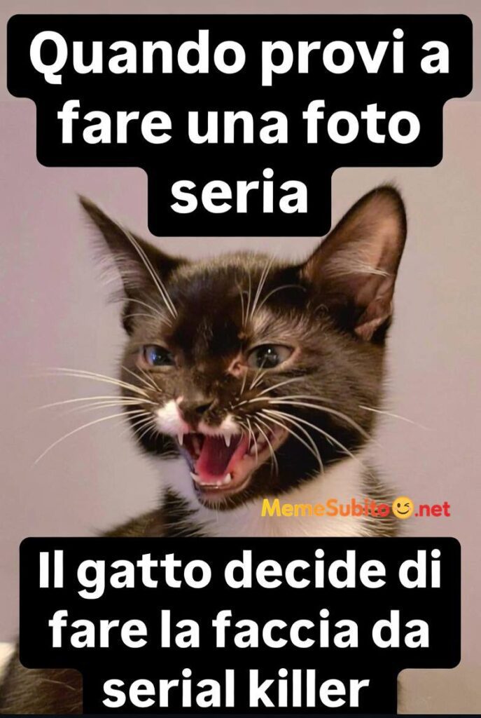 Meme animali comicissimi #8 – Animali e battute italiane