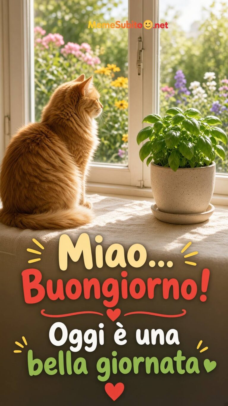 Meme buongiorno gatto rosso sul davanzale con luce del mattino